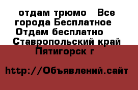 отдам трюмо - Все города Бесплатное » Отдам бесплатно   . Ставропольский край,Пятигорск г.